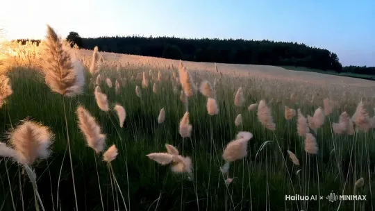 田野里的狗尾巴草 by Hailuo AI Video Generator