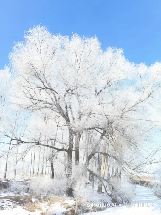 清晨家乡的雾凇 by Hailuo AI Video Generator