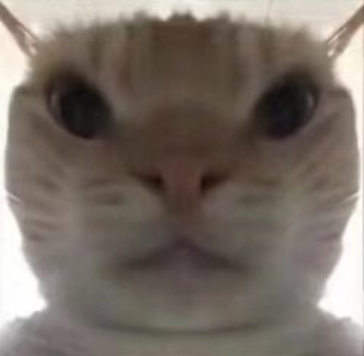 video original by Hailuo AI Video Generator