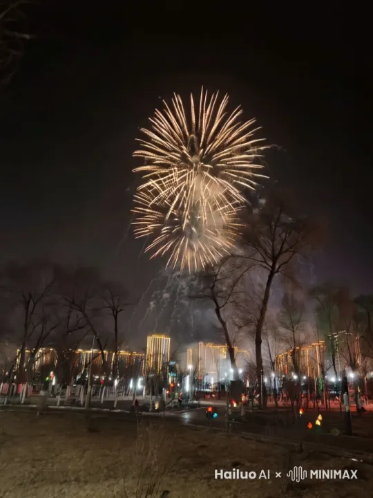 璀璨夜空绽芳华，  
流光溢彩映天涯。  
瞬息万变如梦幻，  
点亮人间胜春花。  
火树银花不夜天，  
繁华刹那亦永恒。  
愿借烟花寄心愿，  
美好如斯永流传。 by Hailuo AI Video Generator