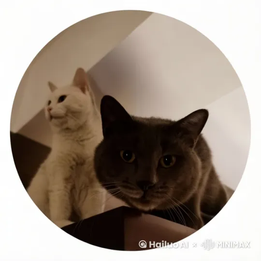 两只猫拥抱 by Hailuo AI Video Generator