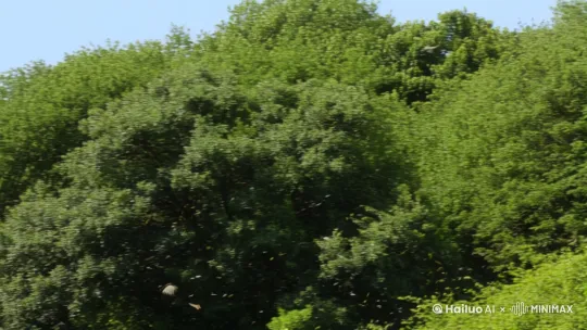 聆听鸟鸣和风声，感受大自然的宁静与美丽。[右摇,变焦推进] by Hailuo AI Video Generator