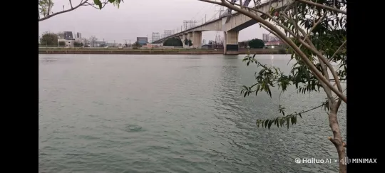 超巨大摄影，水里面有条超大蓝鲸头部扑出来，占剧大部分水面，水花四溅，场面震撼，真实镜头 by Hailuo AI Video Generator