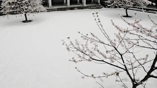 春庭雪[左移,上升] by Hailuo AI Video Generator