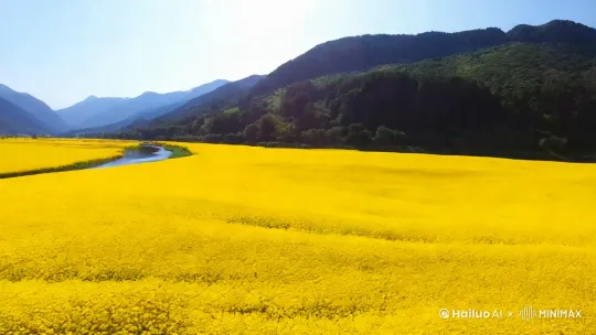 | **0-2s** | **开场**:航拍俯冲镜头——青山脚下的大片油菜花田,河流如丝带般穿过 | 加速俯冲 + 渐亮效果 | 震撼开场,点明环境 |
| **2-4s** | **近景**:低角度拍摄油菜花随风摆动,背景虚化的远山轮廓 | 横向慢移 + 花瓣飘落特效 | 突出花田动态美感 |
| **4-6s** | **倒影**:水面倒影镜头(蓝天、花田、山峦),蜻蜓点水掠过 | 镜像翻转 + 涟漪扩散 | 增强画面诗意与层次 |
| **6-8s** | **人文**:花田小径上人物背影(或农夫劳作),镜头推向远方山水 | 跟随变焦 + 轻微动态模糊 | 增加故事性与纵深感 |
| **8-10s**| **收尾**:夕阳下的全景(花田+山+河),画面渐暗出LOGO/标题 | 拉远镜头 + 暖色滤镜 | 温暖收官,强化记忆点 | by Hailuo AI Video Generator