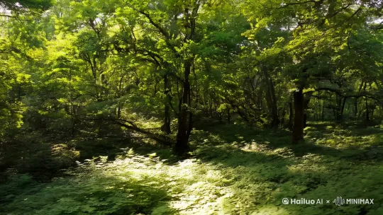 [右移,左摇,跟随]画面：森林的全景，阳光透过树叶洒在地面上，小鸟在枝头唱歌。 by Hailuo AI Video Generator