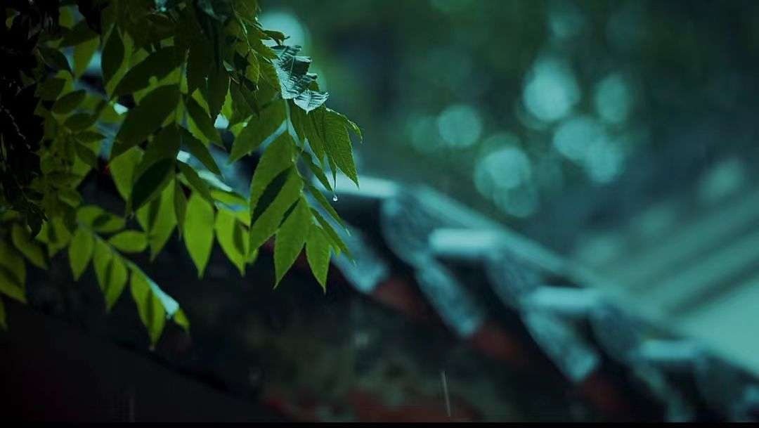 video original by Hailuo AI Video Generator