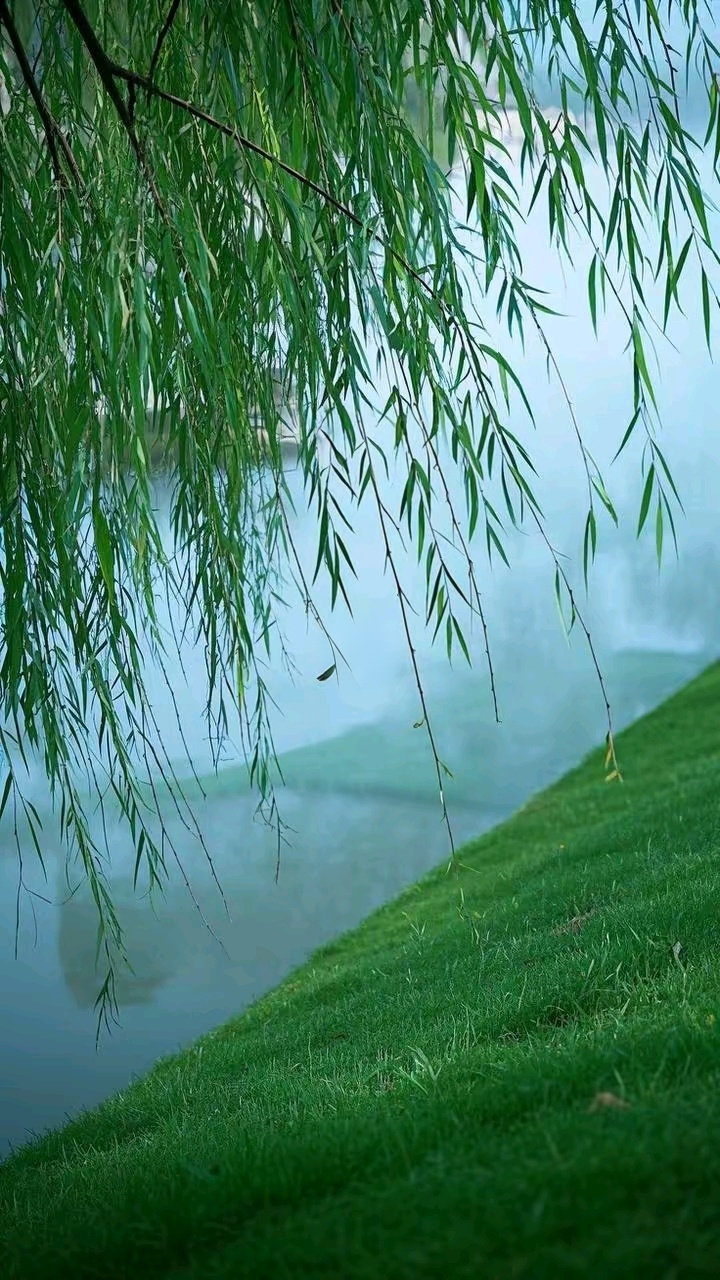 video original by Hailuo AI Video Generator