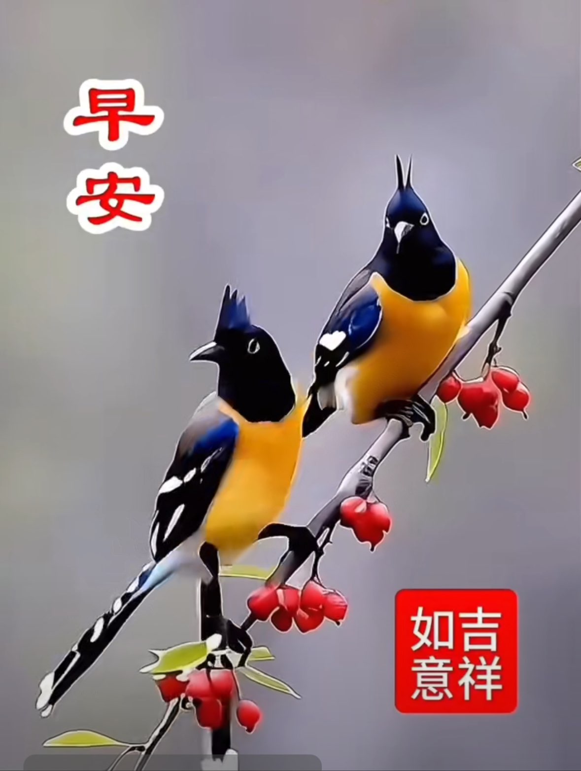 video original by Hailuo AI Video Generator