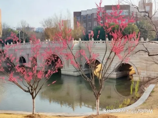  by Hailuo AI Video Generator