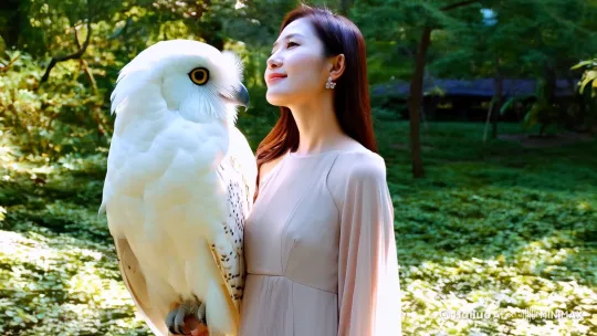 一个中国女人站在一只巨大的白色猫头鹰旁边，这个人穿着浅色的连衣裙，正抬头温柔地看着猫头鹰。背景暗示着一个自然的环境，可能是森林或者公园，这与猫头鹰的存在相适宜。这张图片有一种宁静且有点神奇的特质，8K，超高清，超细节，HDR by Hailuo AI Video Generator