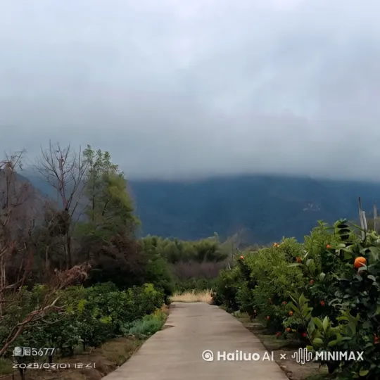 在路的中间，有一个拟人化的小猪开着摩托车过来，小猪穿着黑色的皮夹克，腿上穿的浅灰色的牛仔裤，脚穿一双黑色的波鞋，头带一顶红色的安全帽，眼睛炯炯有神，嘴角微笑着 by Hailuo AI Video Generator