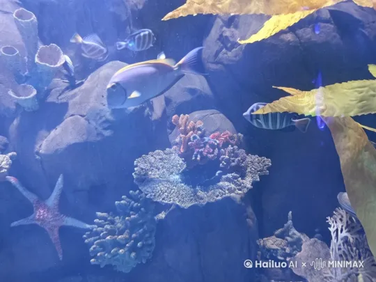 生成5分钟的海底世界电影 by Hailuo AI Video Generator