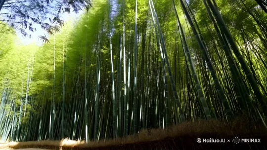 竹海 by Hailuo AI Video Generator
