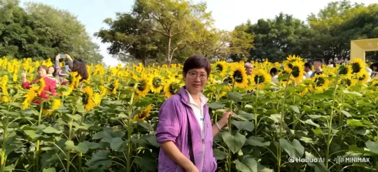 徜徉在葵花丛中， by Hailuo AI Video Generator