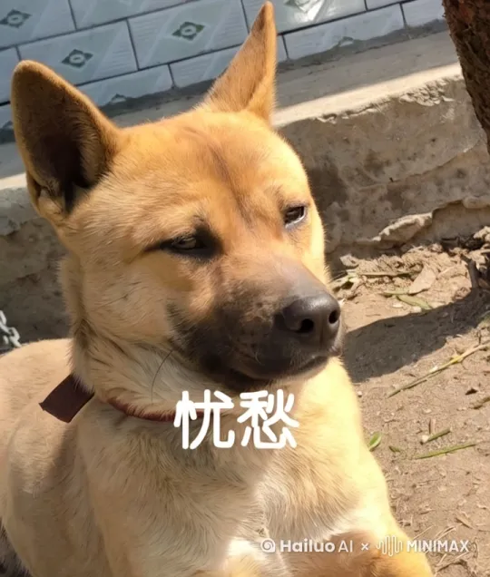 小狗吃哪吒 by Hailuo AI Video Generator
