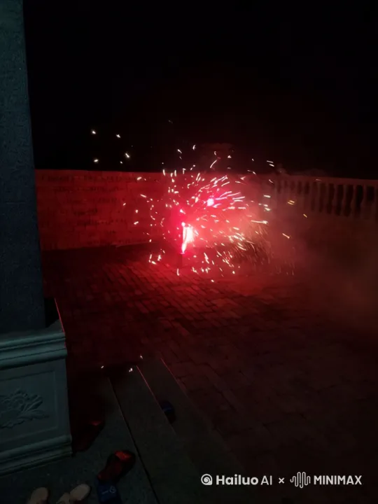  by Hailuo AI Video Generator