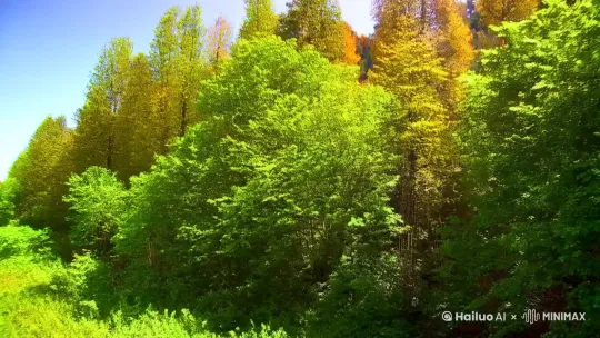展示胡杨林春夏秋冬天的美景及四季变化变化 by Hailuo AI Video Generator