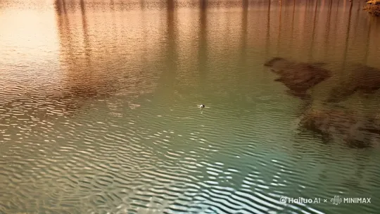 - **AI特效**：  
  - 水面采用StyleGAN生成的宋朝院体画波纹。  
  - 鹅毛根部分解为3000个独立粒子，实时模拟流体力学浮力。  
- **镜头运动**：  
  俯视镜头旋转下移，水面透明度从85%渐变至40%。  
- **数据标注**：  
  羽毛与水接触面添加菲涅尔反射，高光值设定在2.5-3.0lux区间。 by Hailuo AI Video Generator