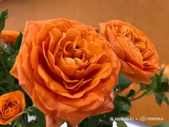 花晨月夕 by Hailuo AI Video Generator
