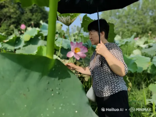 赏花人手捧荷花侧看镜头，露出淡淡的微笑 by Hailuo AI Video Generator