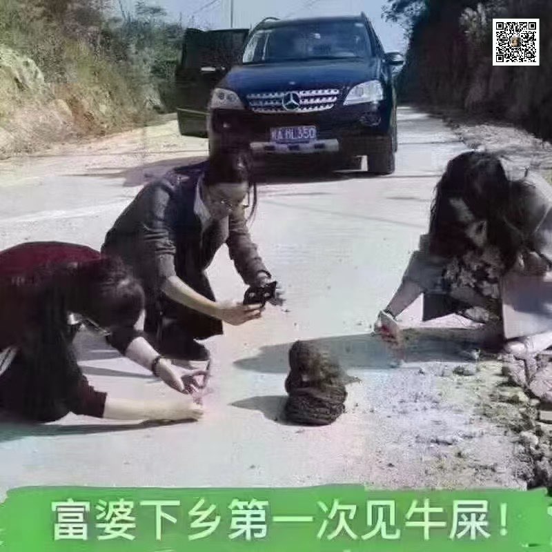 video original by Hailuo AI Video Generator