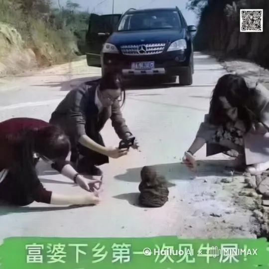几个富婆在乡下围着一坨牛屎不停拍照 by Hailuo AI Video Generator