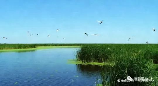 让这幅视频动起来 鸟类飞过湖面，水波荡漾，绿草在微风吹拂中缓缓摆动[推出,上升,下摇] by Hailuo AI Video Generator