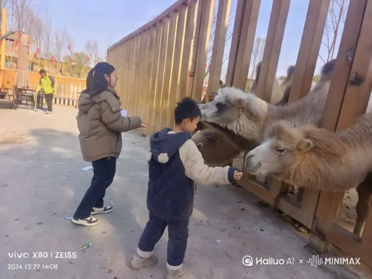 骆驼动起来大叫，吓的小孩又跑又尖叫的搞笑视频 by Hailuo AI Video Generator