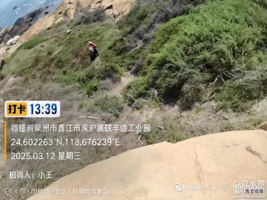 两只牛在草地上吃草 by Hailuo AI Video Generator