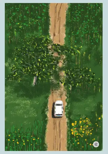 tracking-frame-icon