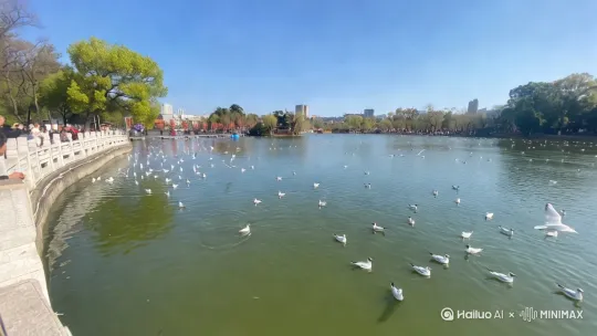  by Hailuo AI Video Generator