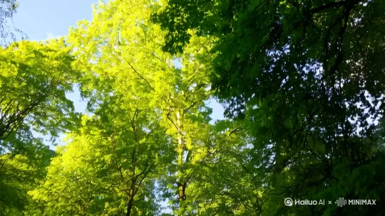 [下降,上摇]树林，[推出,上升,下摇]冲出森林，远处草原上一座城堡，[推进,上摇]俯视大草原 by Hailuo AI Video Generator