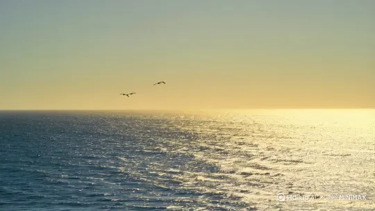 我在看大海。 by Hailuo AI Video Generator