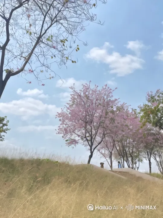 佛山版宫骑骏的春天 by Hailuo AI Video Generator