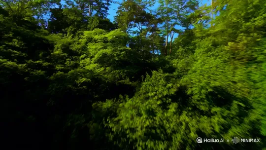 [推进]树林，[推进,上升]冲出森林，远处草原上一座城堡，[下摇,推进]俯视大草原 by Hailuo AI Video Generator