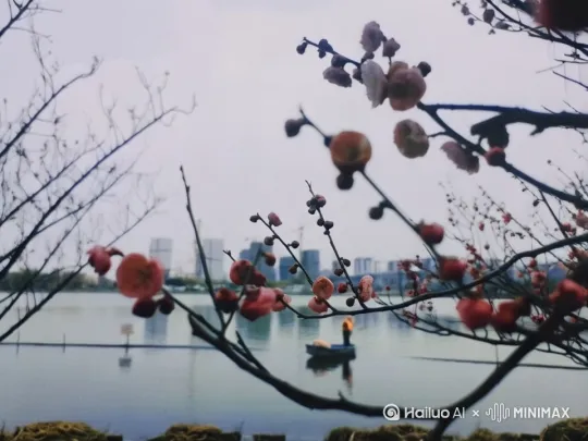 梅香如故
    ​枯木逢春 by Hailuo AI Video Generator