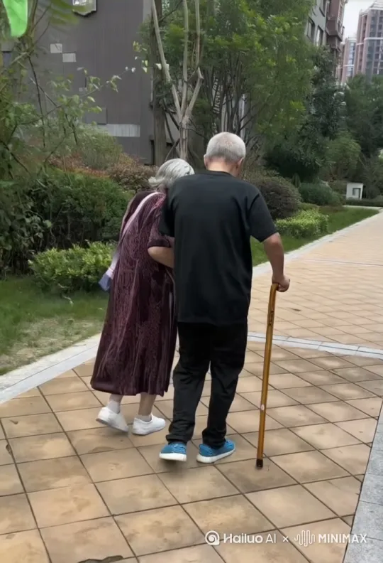 功夫对决，俩人松开手，扔掉拐杖，拳头相互攻击迅猛出招，腾空飞踢。 by Hailuo AI Video Generator