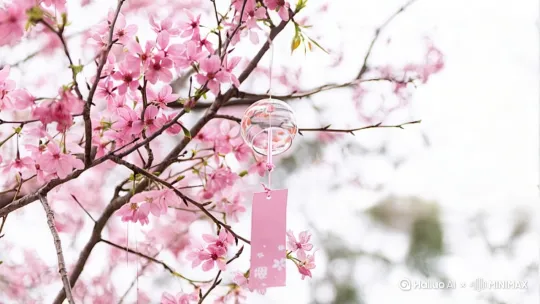 一阵微风，桃花花瓣轻轻的晃动，风铃[右移,左摇,跟随]轻轻地响着 by Hailuo AI Video Generator