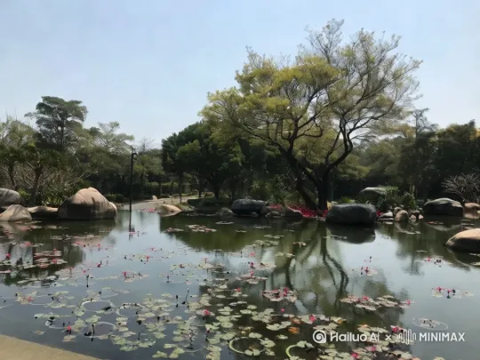 一只白猫咪在水里游，鱼群在翠绿荷叶下方灵活游动，水面泛着细碎阳光波纹，超高清4K画质，精细呈现毛发湿润质感和鱼鳞反光效果， by Hailuo AI Video Generator