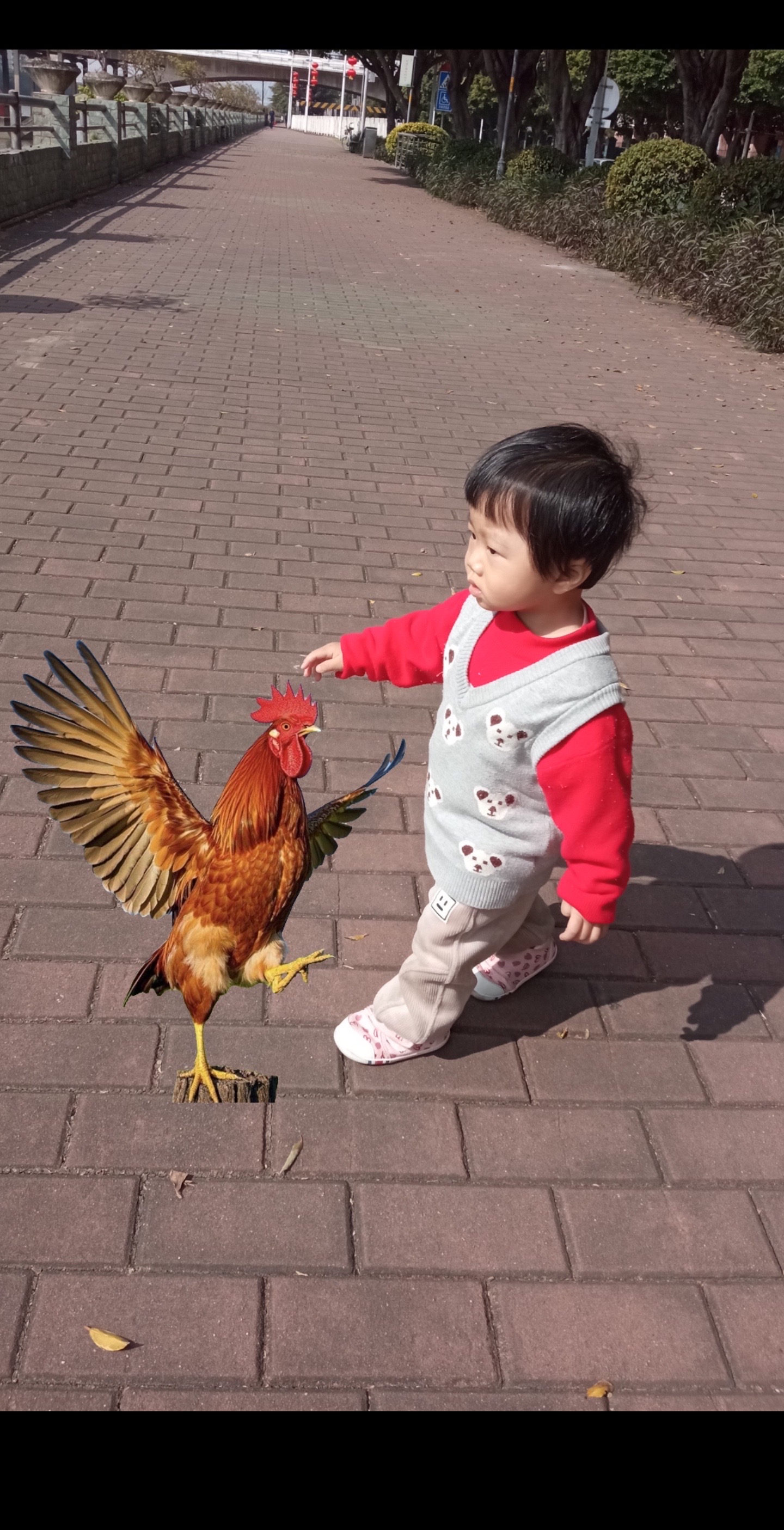 video original by Hailuo AI Video Generator