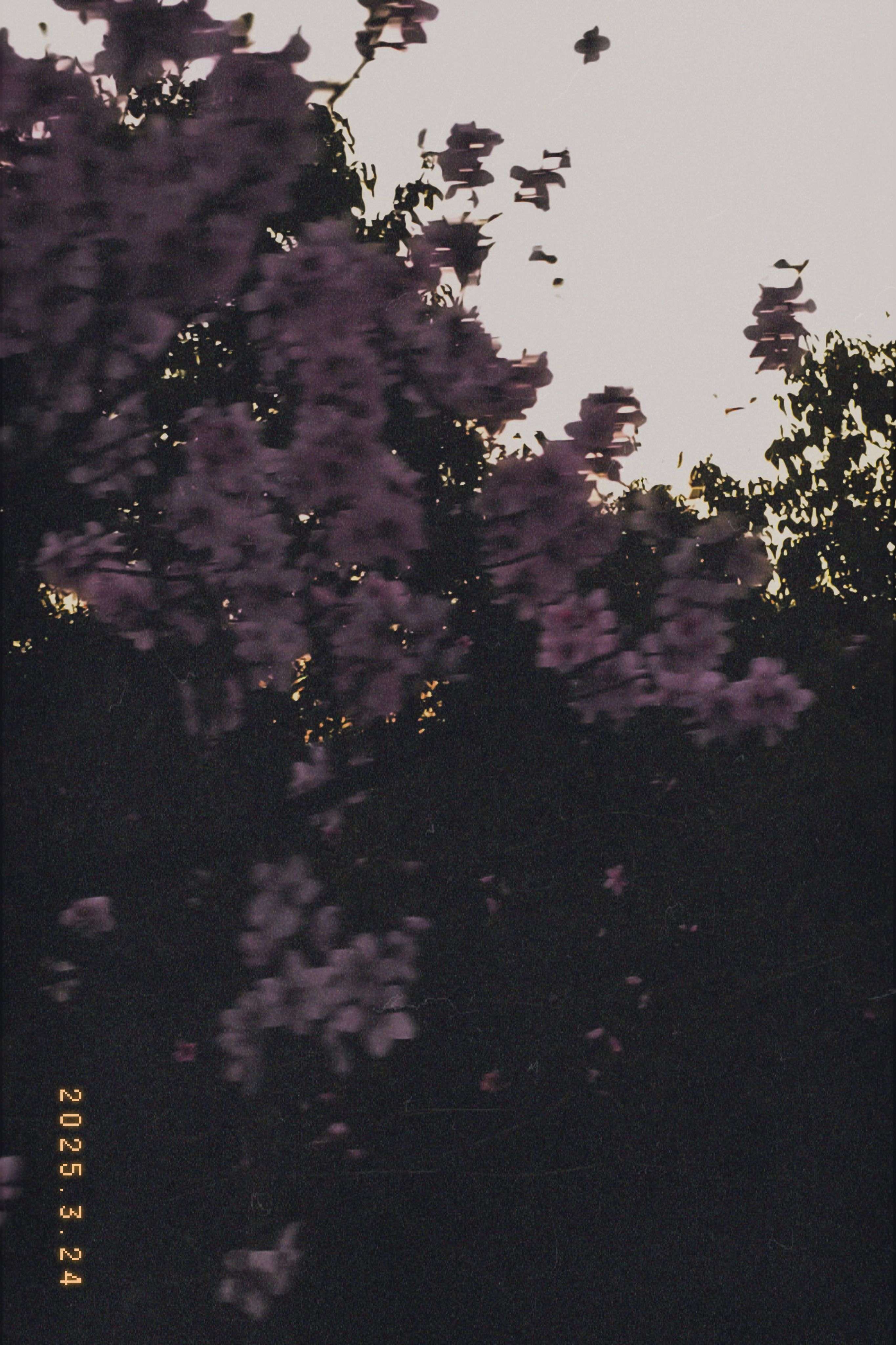video original by Hailuo AI Video Generator