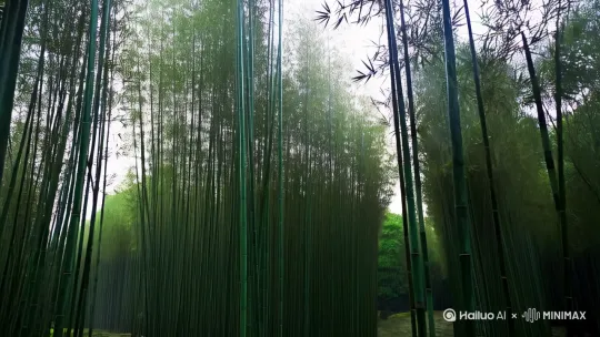 青清风竹影雨绵绵， by Hailuo AI Video Generator