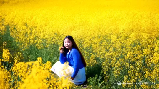 油菜花海前一个中国披肩美少女，穿蓝色v毛衫，白色半身裙，1.蹲着看镜头，2.把花放在鼻尖，3.慢慢走向镜头，4.举起花束打招呼，5.张开手走向花海，6.抬起头甩甩头发，7.抱着书回眸看镜头[左移,推进,右摇] by Hailuo AI Video Generator
