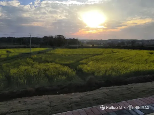  by Hailuo AI Video Generator