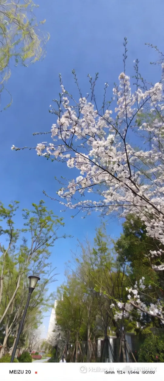 [推进] by Hailuo AI Video Generator