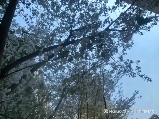 [左移,上升] by Hailuo AI Video Generator