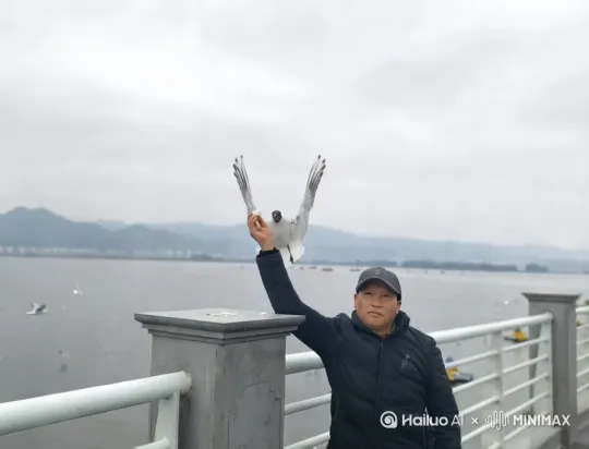 昆明滇池昆明滇池一游看海鸥飞翔[右移,跟随][右移,跟随] by Hailuo AI Video Generator