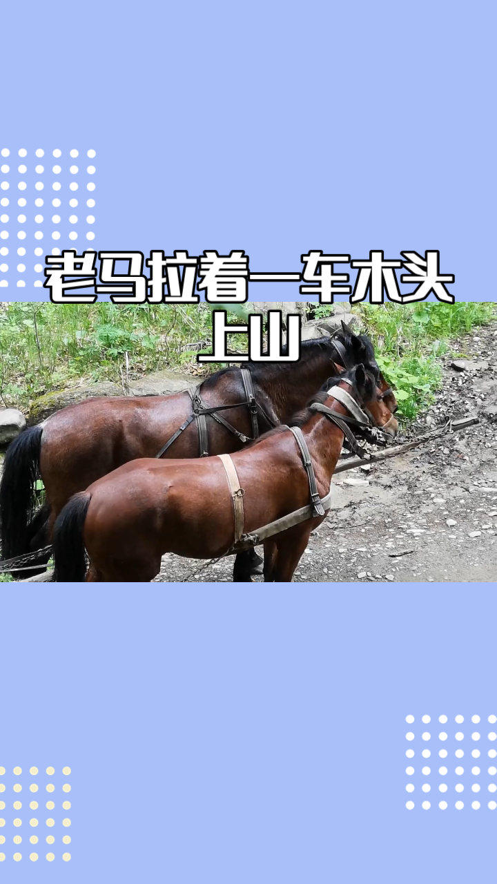 video original by Hailuo AI Video Generator