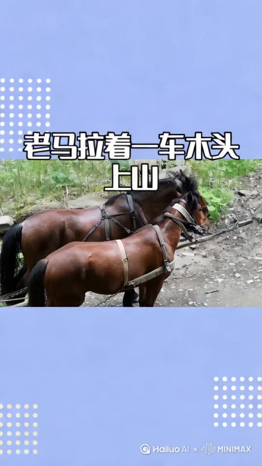  by Hailuo AI Video Generator